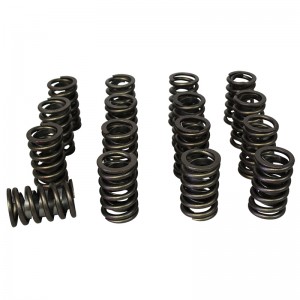 HOWARDS VALVE SPRINGS - PACALOY SERIES