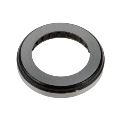 RAM REPLACEMENT BEARING ONLY - RAM-78017