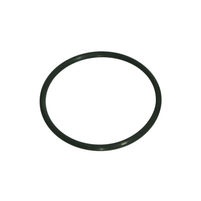 RCI FUEL CELL CAP O-RING - RCI-0142