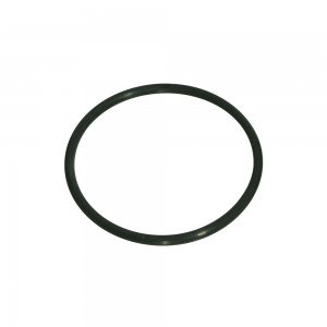 RCI FUEL CELL CAP O-RING