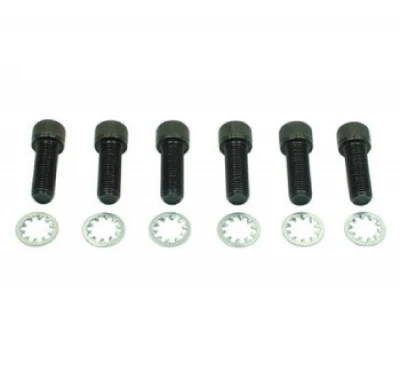 BRINN DRIVE FLANGE BOLTS - BRI-79134