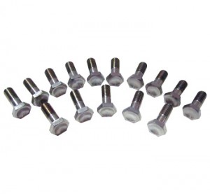 KING TITANIUM WHEEL CENTER BOLTS