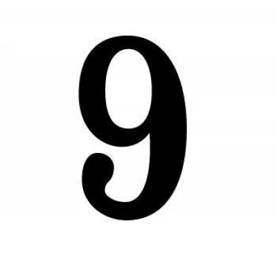 PRO-TEK RACE CAR NUMBERS - NU-9-BLK