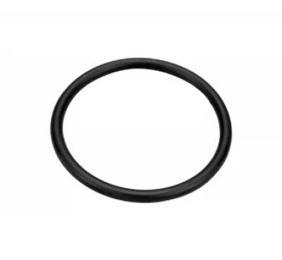 PRO-TEK SWIVEL WATER NECK O-RING - VC-9216