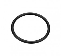 PRO-TEK SWIVEL WATER NECK O-RING